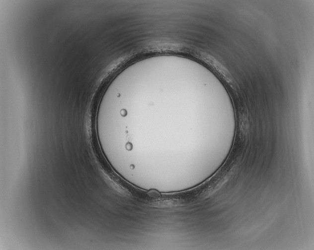 X0000112200629200908281440