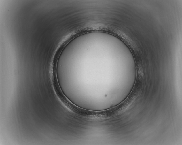 X0000112200630200908281440