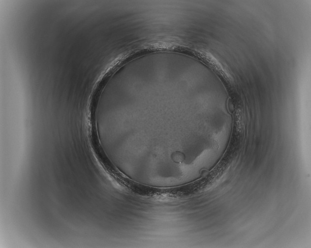 X0000112200634200908281440