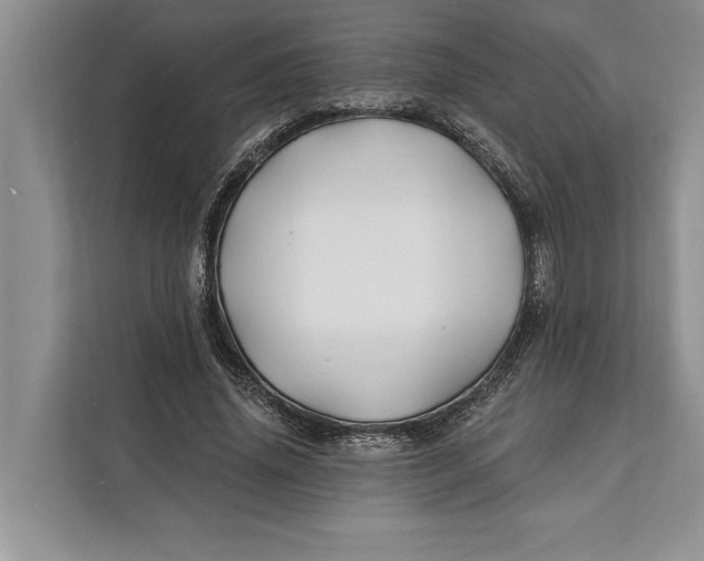 X0000112200636200908281440