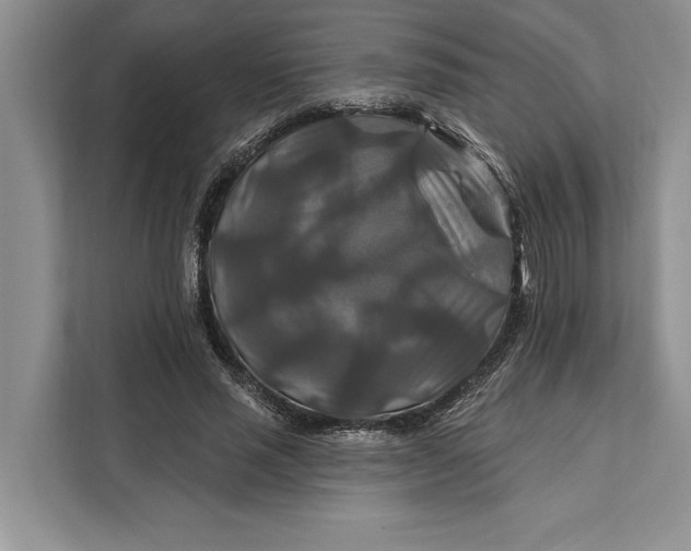 X0000112200637200908281440