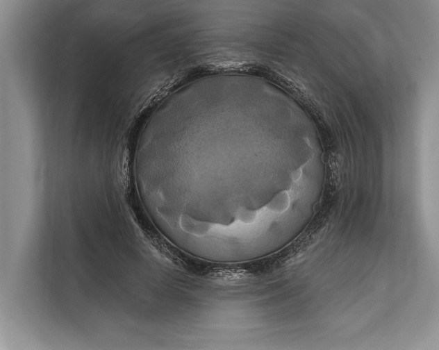 X0000112200642200908281440