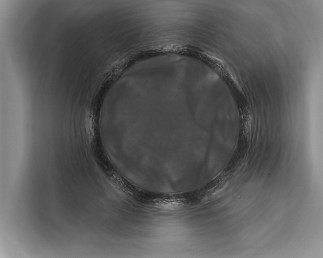 X0000112200643200908281440