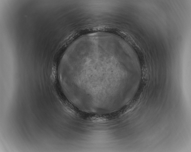 X0000112200648200908281440