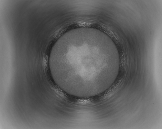 X0000112200649200908281440