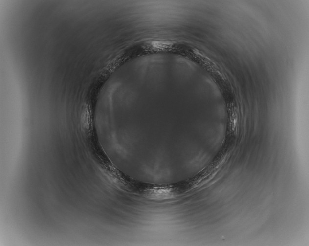 X0000112200651200908281440