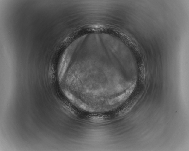 X0000112200653200908281440