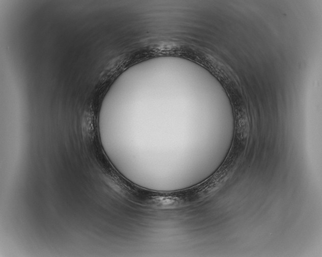 X0000112200654200908281440