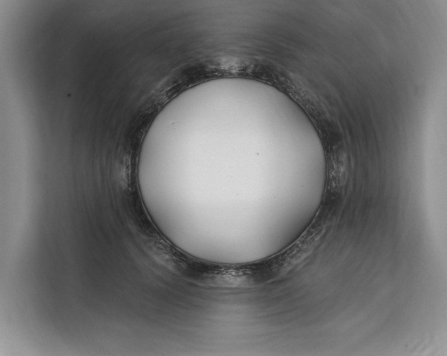 X0000112200656200908281440