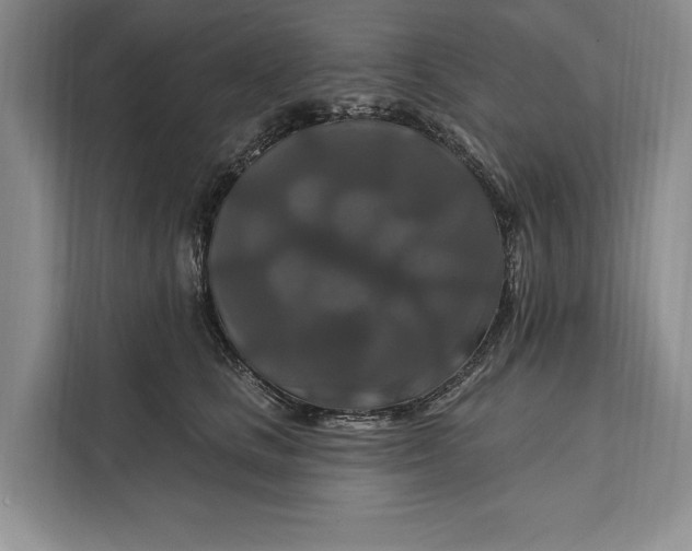 X0000112200661200908281440