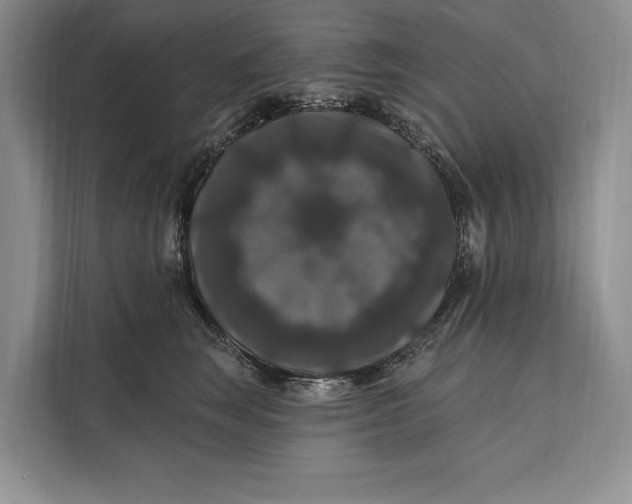 X0000112200663200908281440