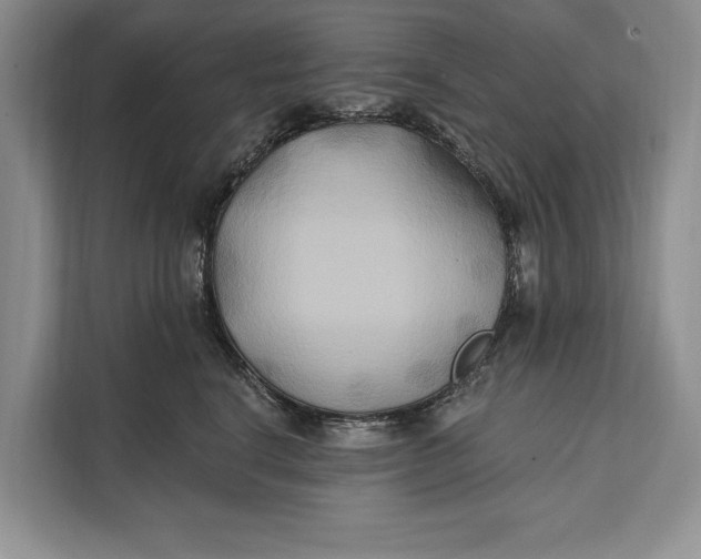 X0000112200664200908281440