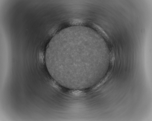 X0000112200669200908281440