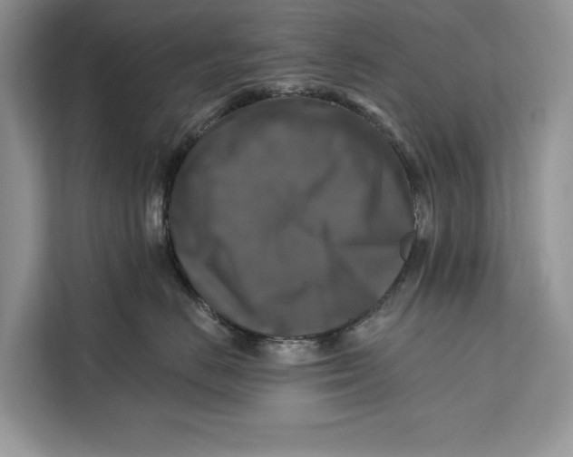 X0000112200670200908281440