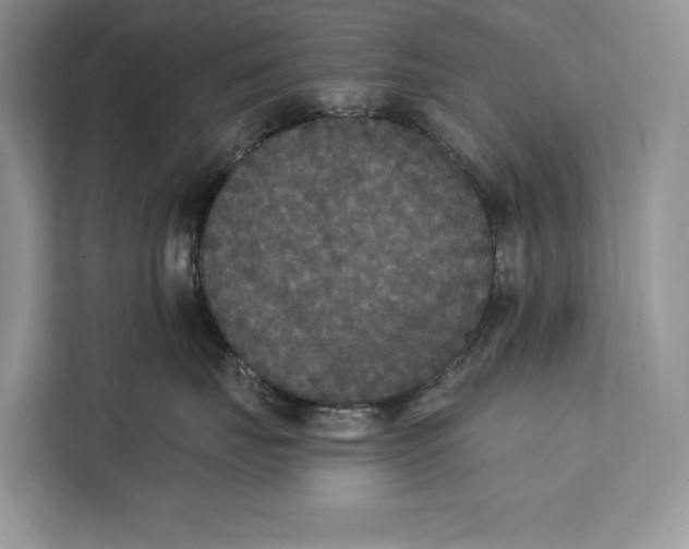 X0000112200671200908281440