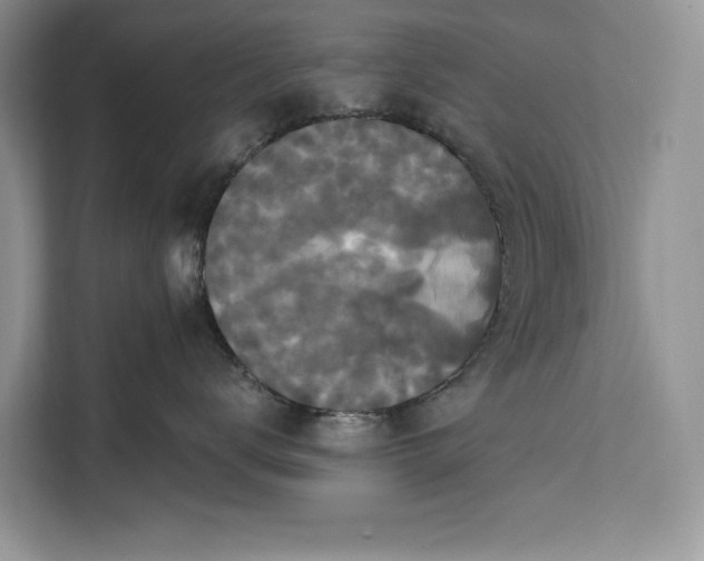 X0000112200672200908281440