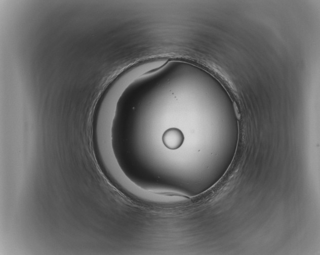 X0000112200673200908281440