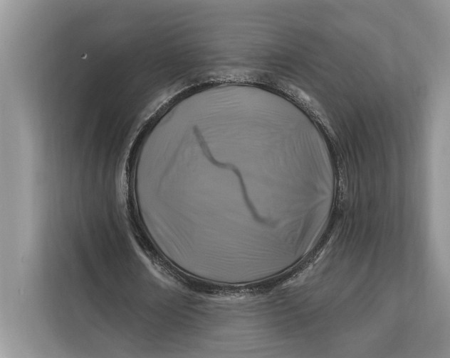 X0000112200674200908281440