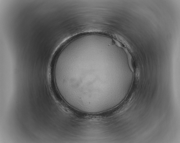 X0000112200676200908281440