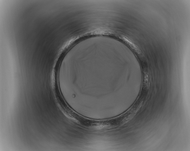 X0000112200678200908281440