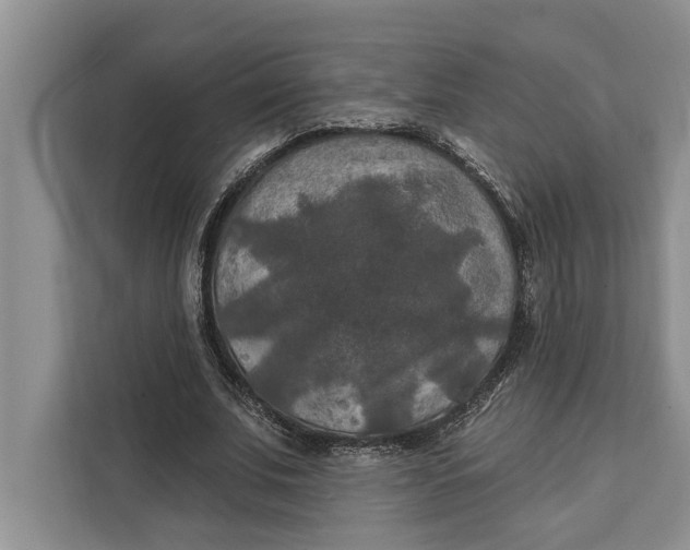 X0000112200679200908281440