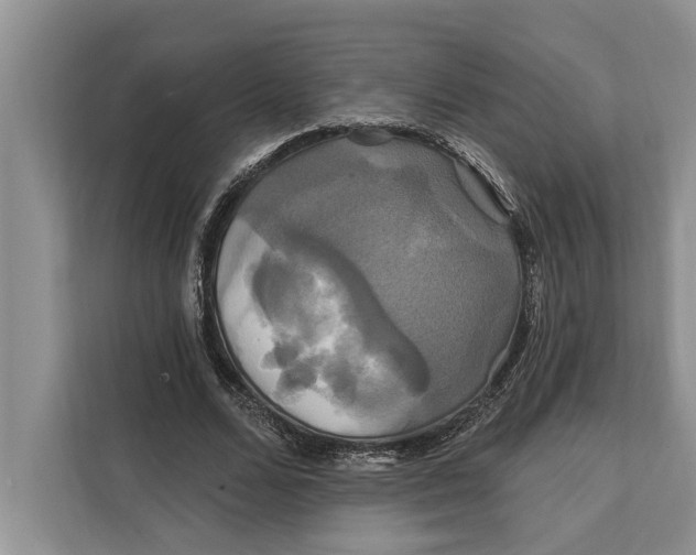 X0000112200680200908281440