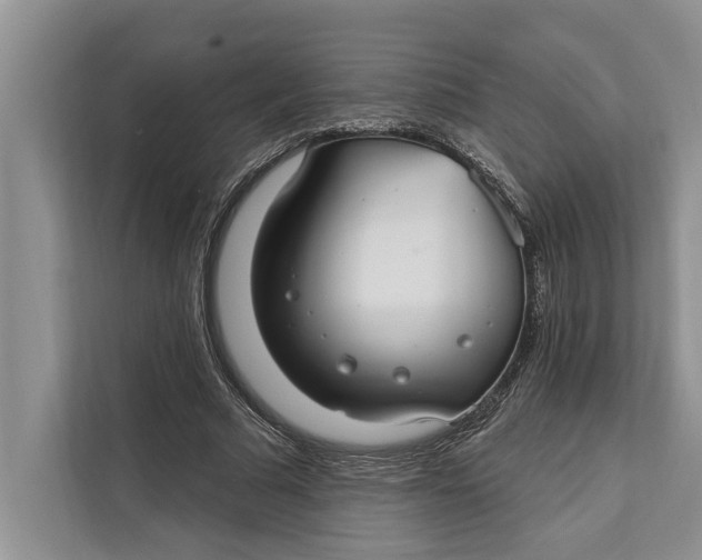 X0000112200681200908281440