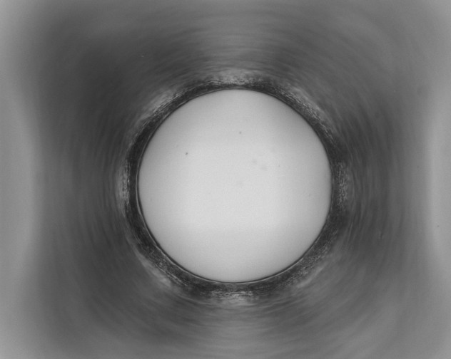 X0000112200683200908281440