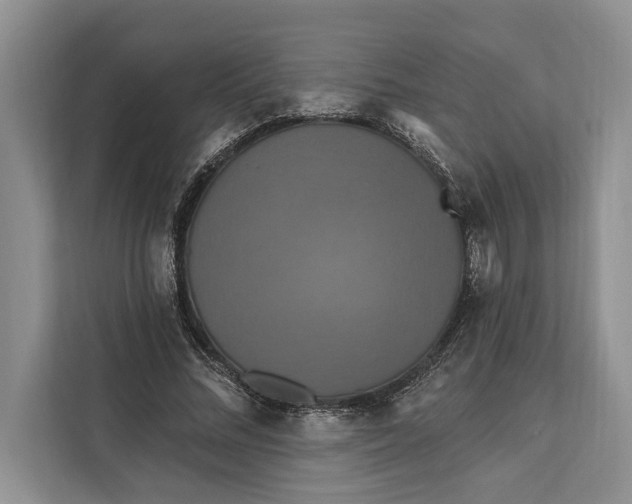 X0000112200684200908281440