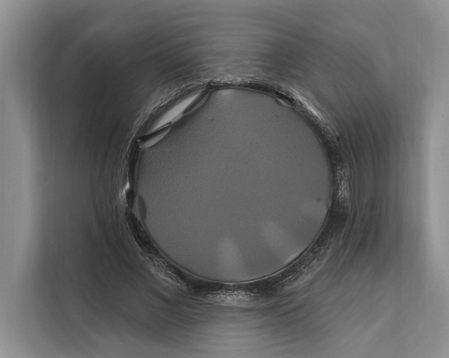 X0000112200685200908281440