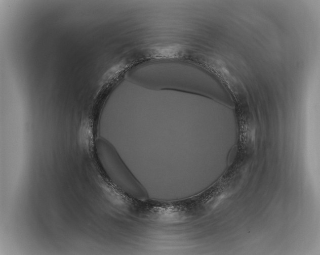 X0000112200688200908281440