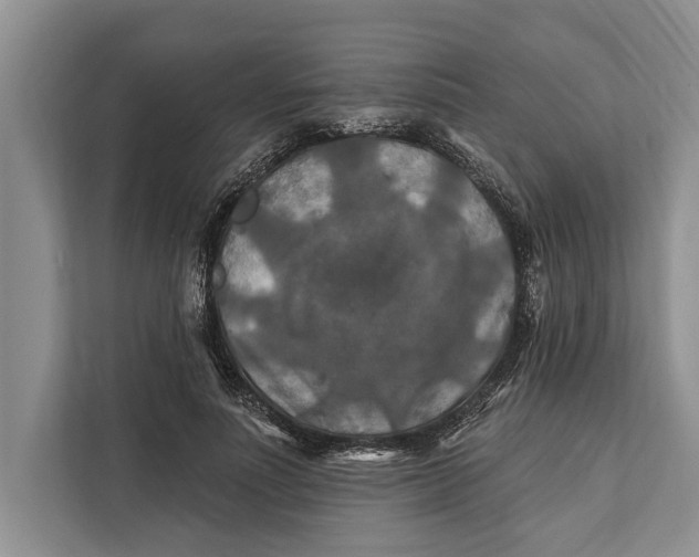 X0000112200691200908281440