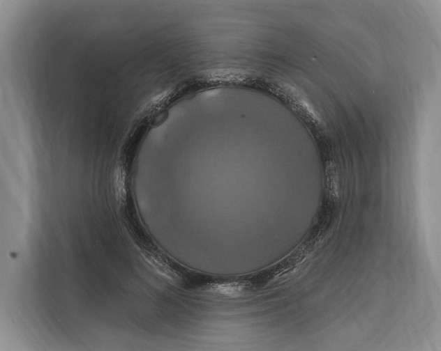 X0000112200692200908281440