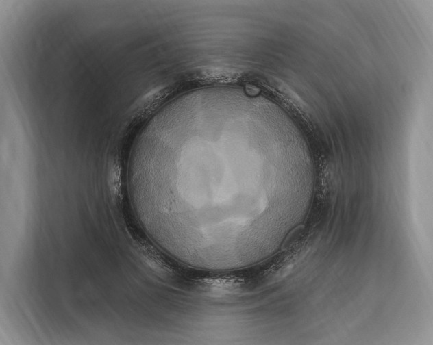 X0000112200693200908281439