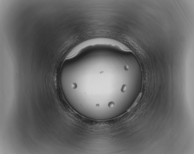 X0000112200696200908281439