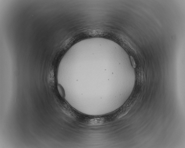 X0000112200700200908281439