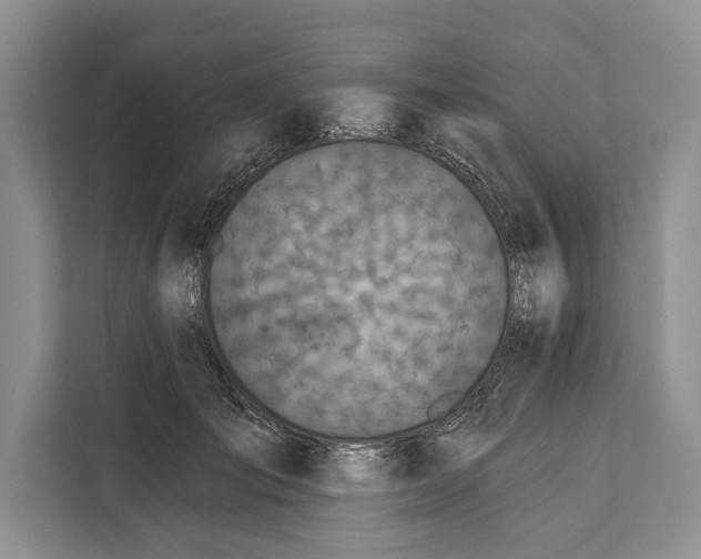 X0000112200701200908281439