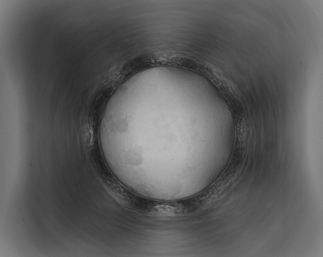 X0000112200703200908281439