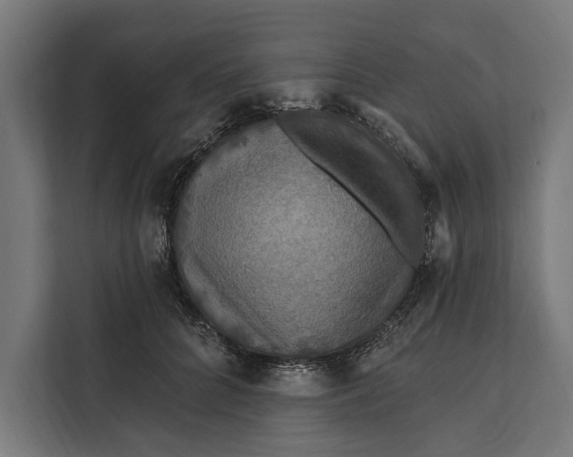 X0000112200704200908281439