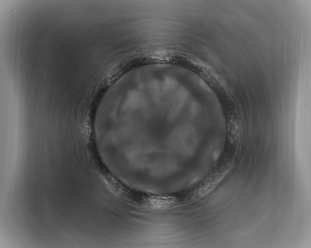 X0000112200707200908281439