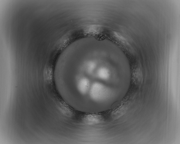 X0000112200708200908281439