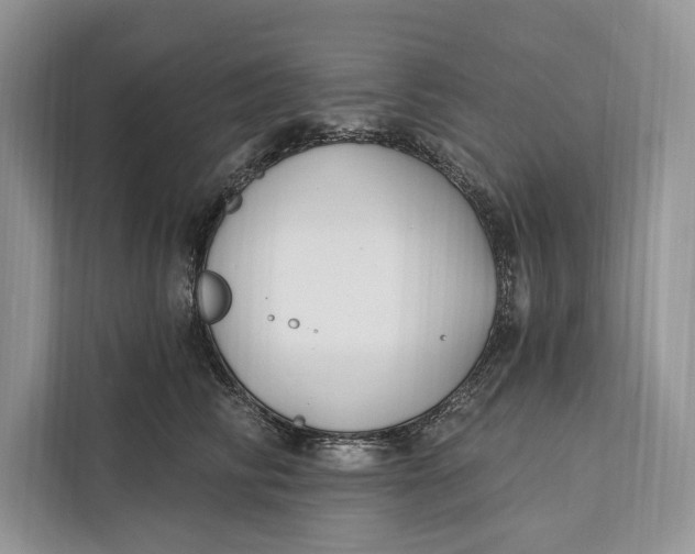 X0000112200710200908281439