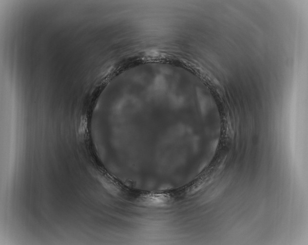 X0000112200711200908281439