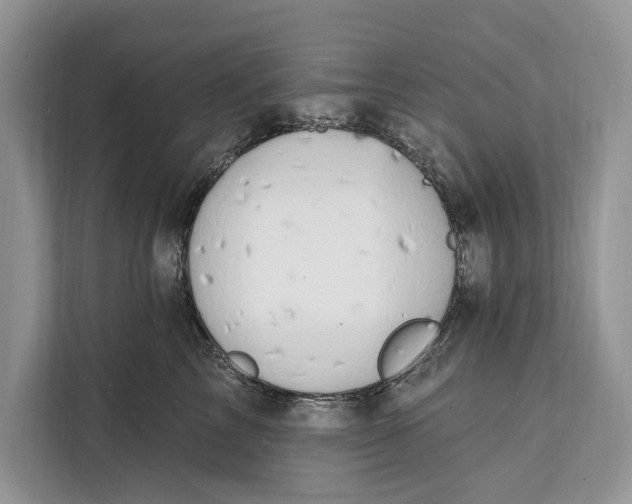 X0000112200713200908281439