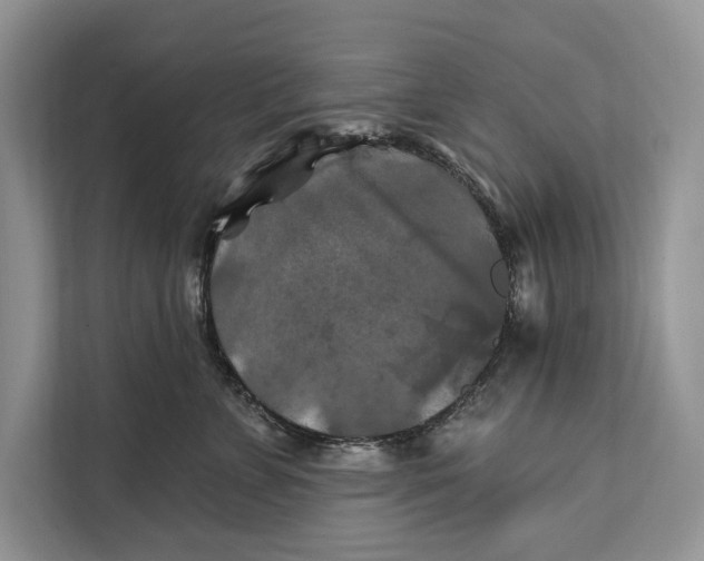 X0000112200715200908281439