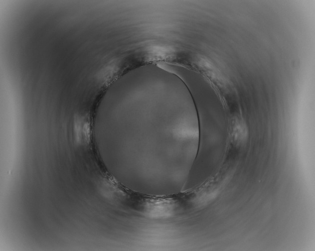 X0000112200716200908281439