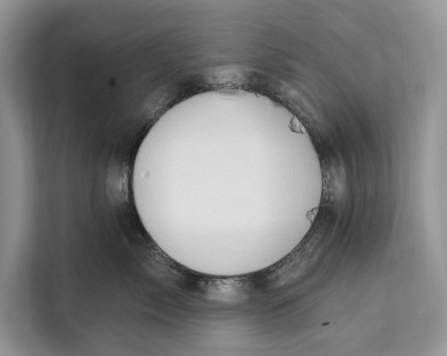 X0000112200717200908281439