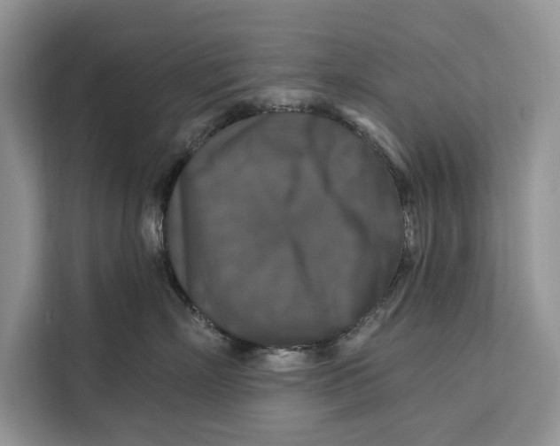 X0000112200718200908281439