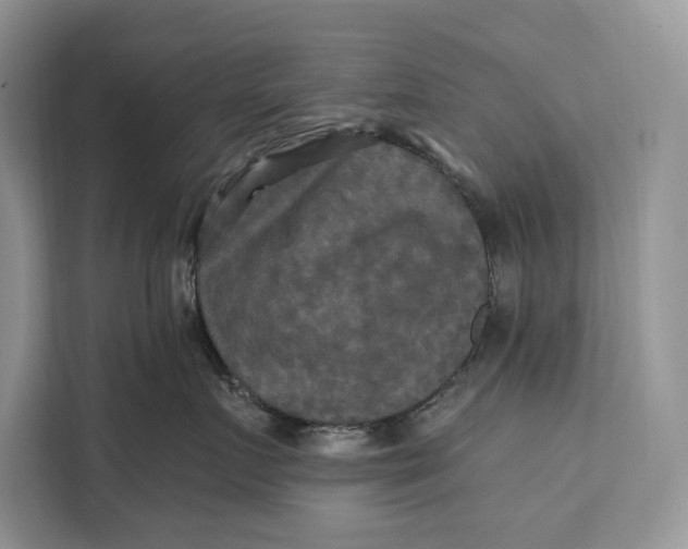 X0000112200719200908281439