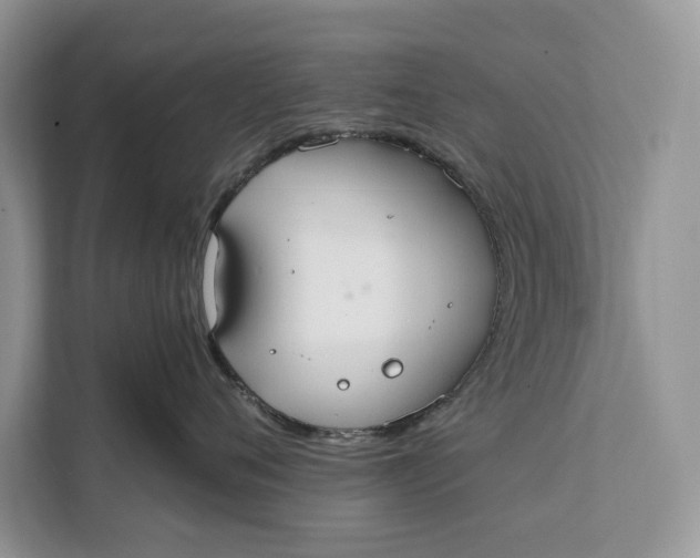 X0000112200720200908281439